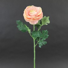25"JUMBO RANUNCULUS PINK A4