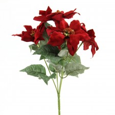 12.5"VEL.MINI POINSETTIA BUSH