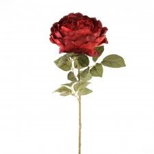 25"OPEN GARDEN ROSE BURGUNDY