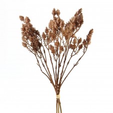 MINI CONE BRANCH 3/BU