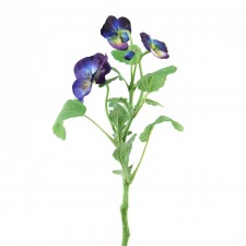 13"FRESH CUT PANSY SPRAY A25