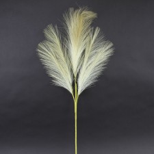 40"PAMPAS GRASS WHEAT