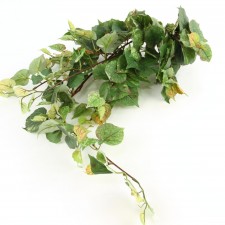 30"COTTONWOOD BUSH/VINE A25