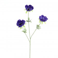 24"ANEMONE X3 BLUE