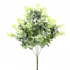 13"SEEDING EUCALYPTUS SAGE