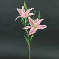 24"TIGER LILY PINK A25