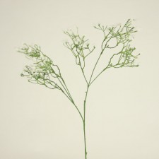 GYPSOPHILA SPRAY X2 WHITE