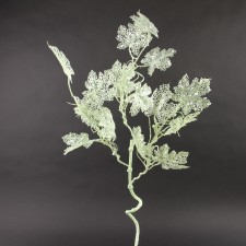 36"GLT/SEQ GRAPE LF SPRY A4