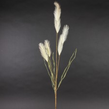 36"PAMPAS GRASS X6 BEIGE