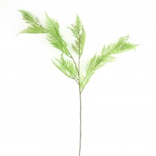41"LACE FERN SPRY A4