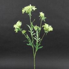 27"QUEEN ANNE'S LACE X4 A4