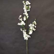 65"LG.CHERRY BLOSSOM BRANCH