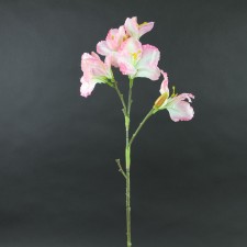 30"DAYLILY PINK A4