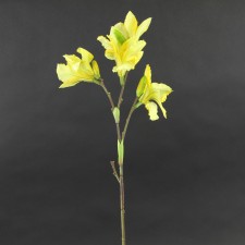 30"DAYLILY YELLOW A4