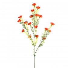 31"DESERT PROTEA SPRAY A25