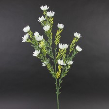 DESERT PROTEA SPRAY