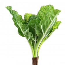 9"KALE PLANT GRN/CREAM A25