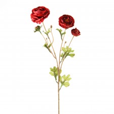26"ABUNDANCE RANUNCULUS RED
