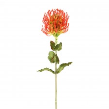 27"PIN CUSHION PROTEA ORANGE