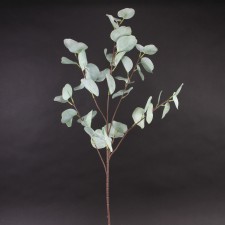 36"SILV.DOLLAR EUCAL.SPRAY