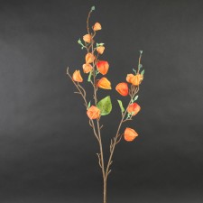 34"CHINESE LANTERN SPRAY