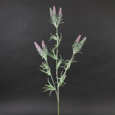 29"HEATHER SPRAY X2 PURPLE