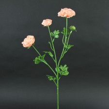 25"RANUNCULUS X3 PEACH A25