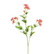 27"MINI MUM SPRAY CORAL