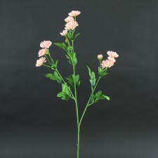27"MINI MUM SPRAY PEACH
