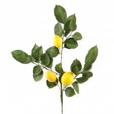 20"FRUITING LEMON SPRAY
