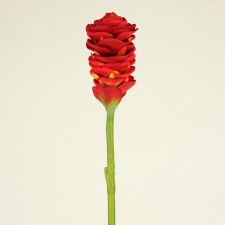 32"GINGER TORCH FLAME