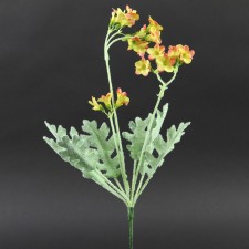 16"VIBURNUM PLANT CITRUS A25