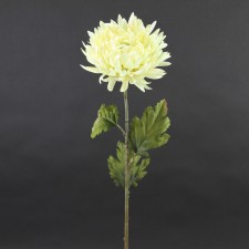 30"MUM SPRAY CREAM A4