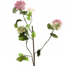 HYDRANGEA TWIG BRANCH A75