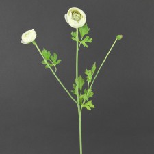 25"RANUNCULUS ORCHID MIST