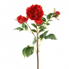 19"ENGLISH RUFFLE ROSE A4