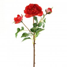 19"ENGLISH RUFFLE ROSE A4