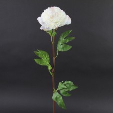 36"OPEN PEONY CHAMPAGNE A25