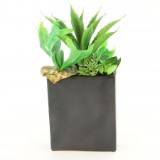 14" TALL TEMPO SUCCULENT