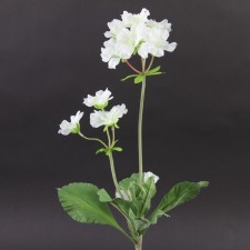 17" PRIMULA WHITE