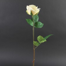 25.5"OPEN DUTCH ROSE A4