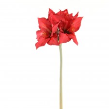 27" AMARYLLIS X3 W/BUD RED