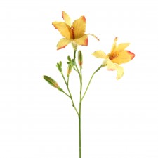 33.5"DAY LILY A4