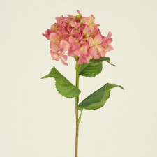 PETITE HYDRANGEA ANT.ROSE