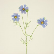 COSMOS X3 FRENCH BLUE