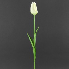 FRENCH TULIP B12 LATTICE WHT