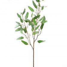 43"SEEDED LNG.EUCALYPTUS STEM