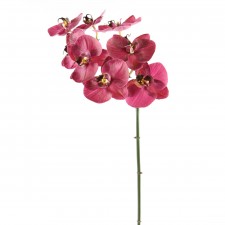 32"PHALAENOPSIS ORCHID