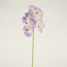 25" VANDA ORCHID SHT/STM LAVE