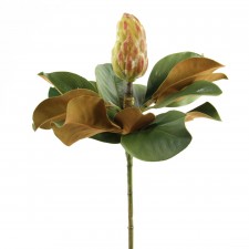 21" MAGNOLIA BUD GREEN